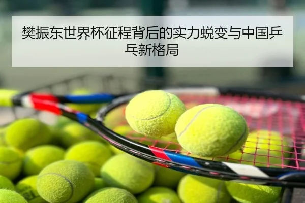 樊振东世界杯征程背后的实力蜕变与中国乒乓新格局