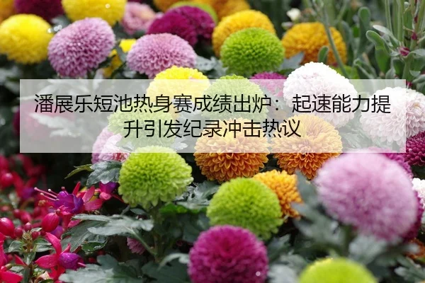 潘展乐短池热身赛成绩出炉：起速能力提升引发纪录冲击热议