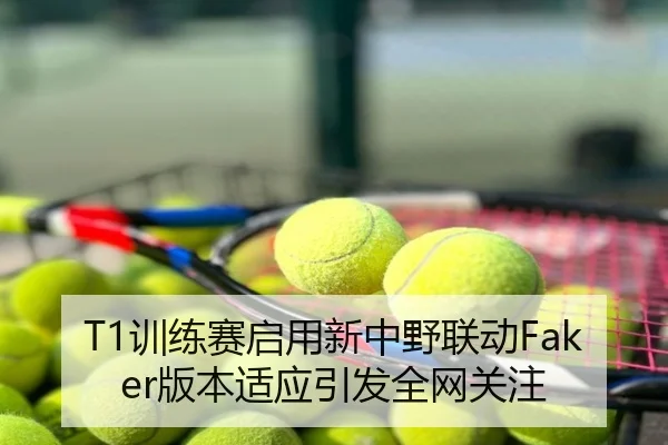 T1训练赛启用新中野联动Faker版本适应引发全网关注
