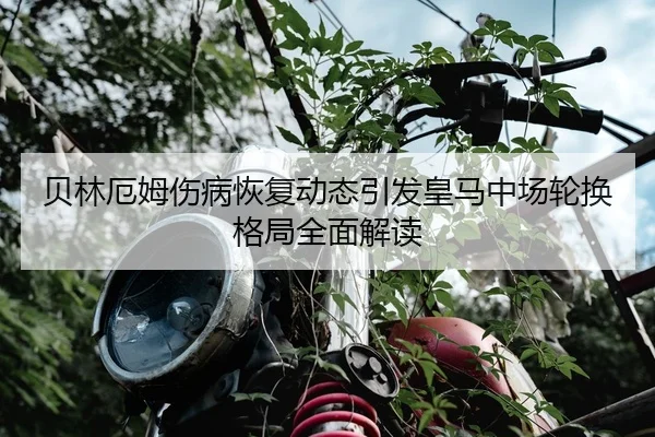 贝林厄姆伤病恢复动态引发皇马中场轮换格局全面解读