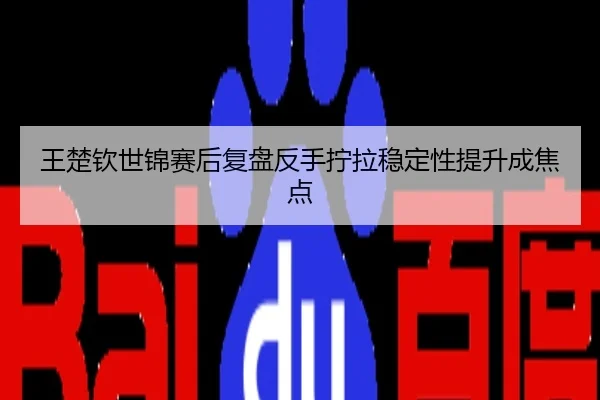 王楚钦世锦赛后复盘反手拧拉稳定性提升成焦点